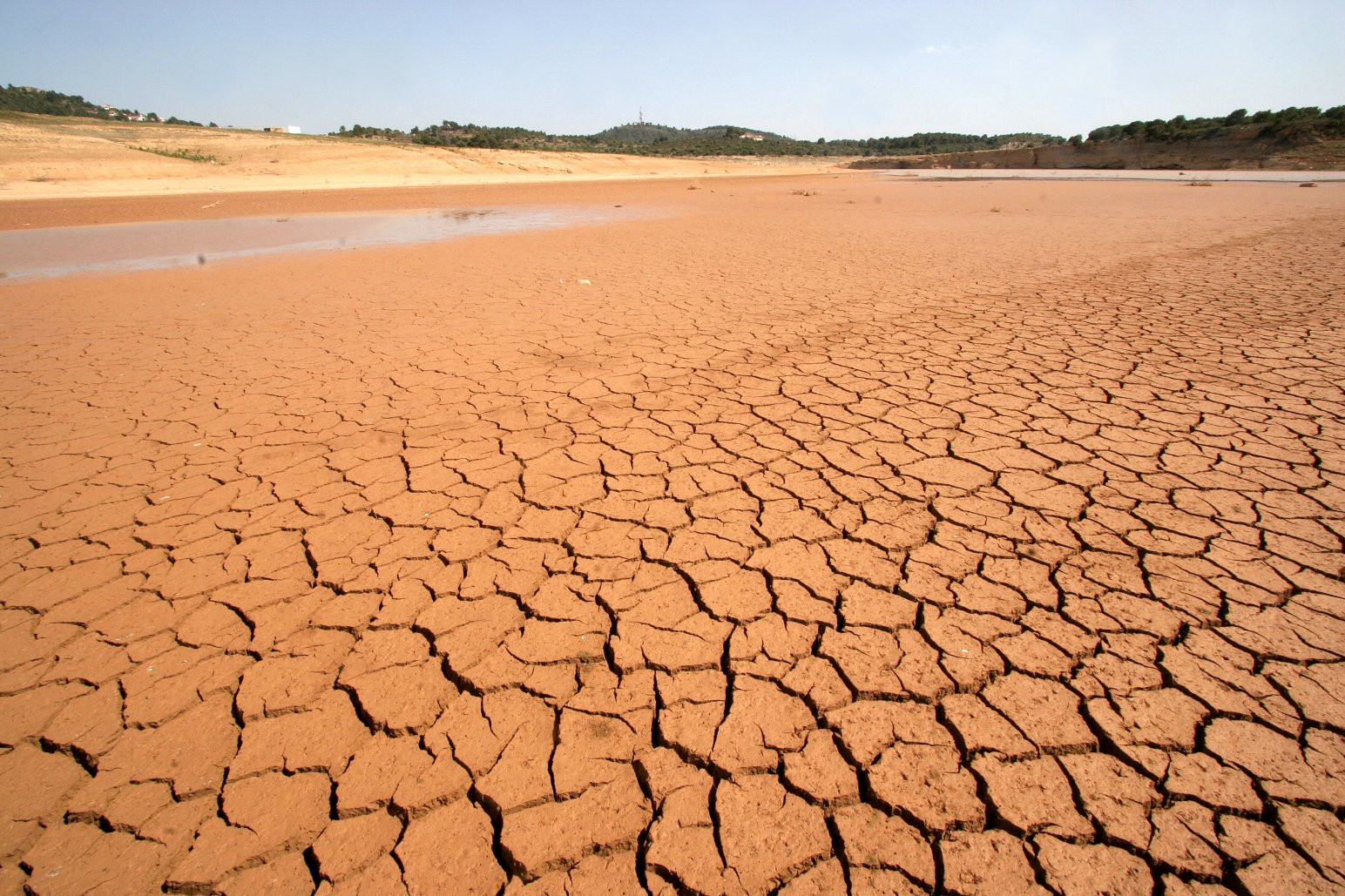 España Sede Del Día Mundial De Lucha Contra La Desertificación Y La Sequía 2022 3607