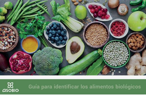 Guia identificar alimentos ecologicos (Imagen Asobio)