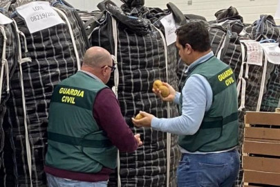 OP Patatas de Egipto como si fueran de Cádiz RTK (Foto Guardia Civil)