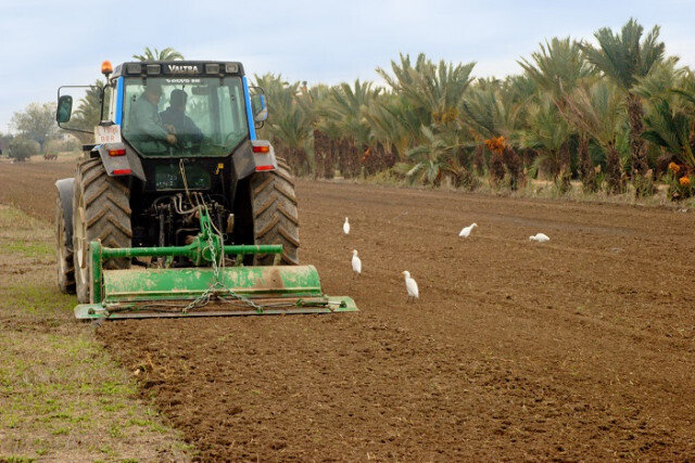 Tractor labrando un campo en Guardamar (Foto Generalitat valenciana)