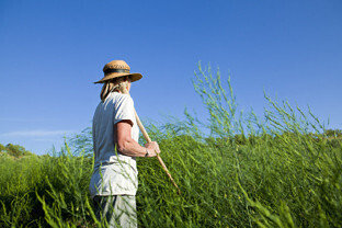 Mujer en el campo (Foto Junta de Andalucía)