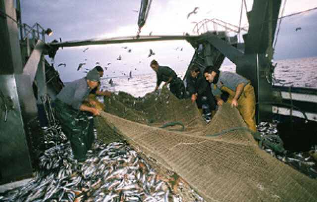 Pescadores faenando (Foto Junta de Andalucía)