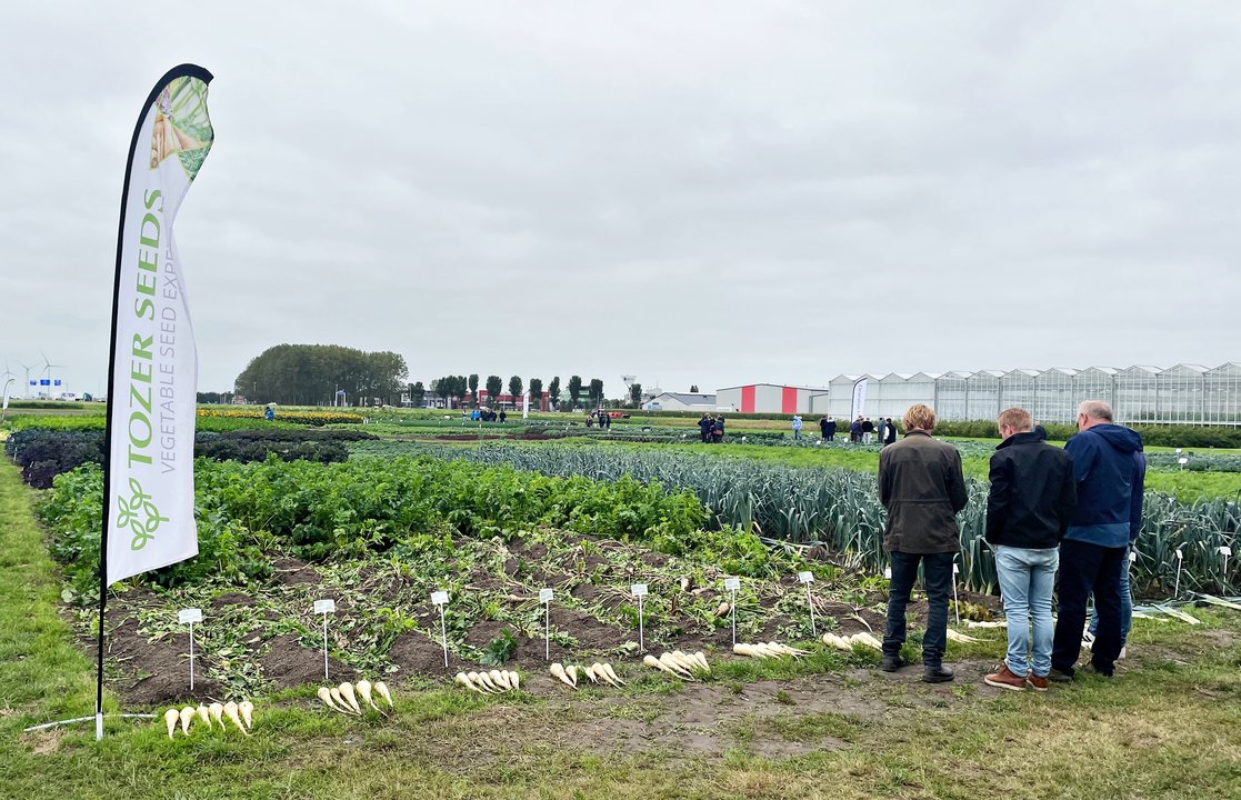 Campos de ensayo holandeses de Tozer (Foto Tozer)