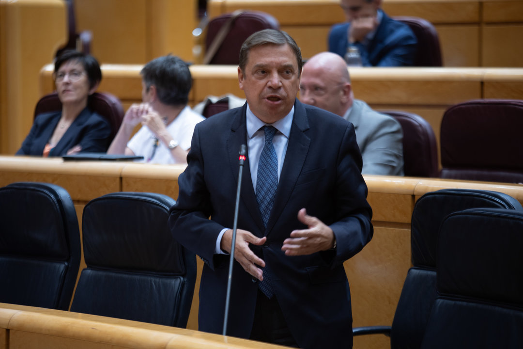 Luis Planas en su comparecencia en el Senado (Foto MAPA)