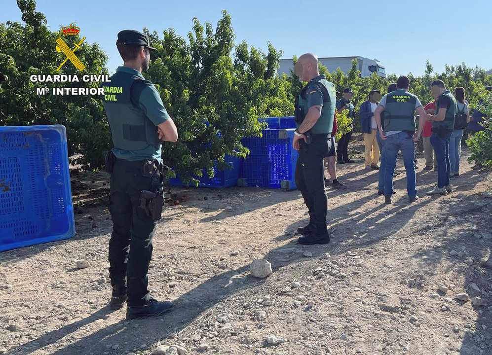 Inspecciones trabajo en fincas agrícolas (Foto Guardia Civil)