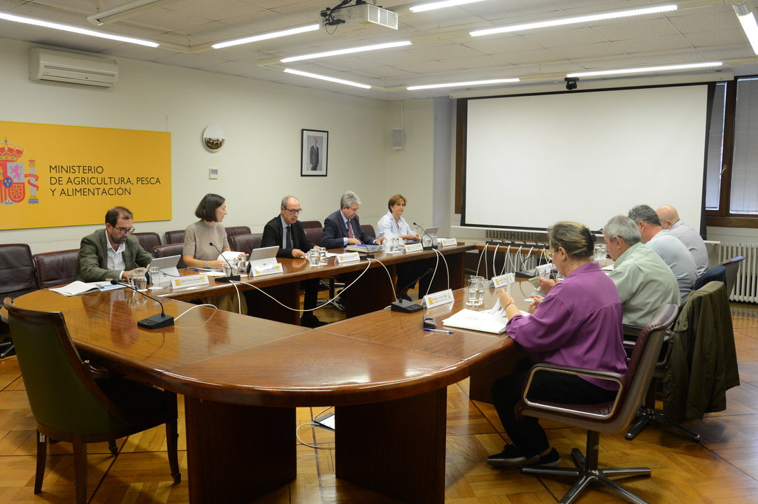 Reunión mesa de seguimiento sobre las 43 medidas de apoyo a agricultores y ganaderos (Foto MAPA)