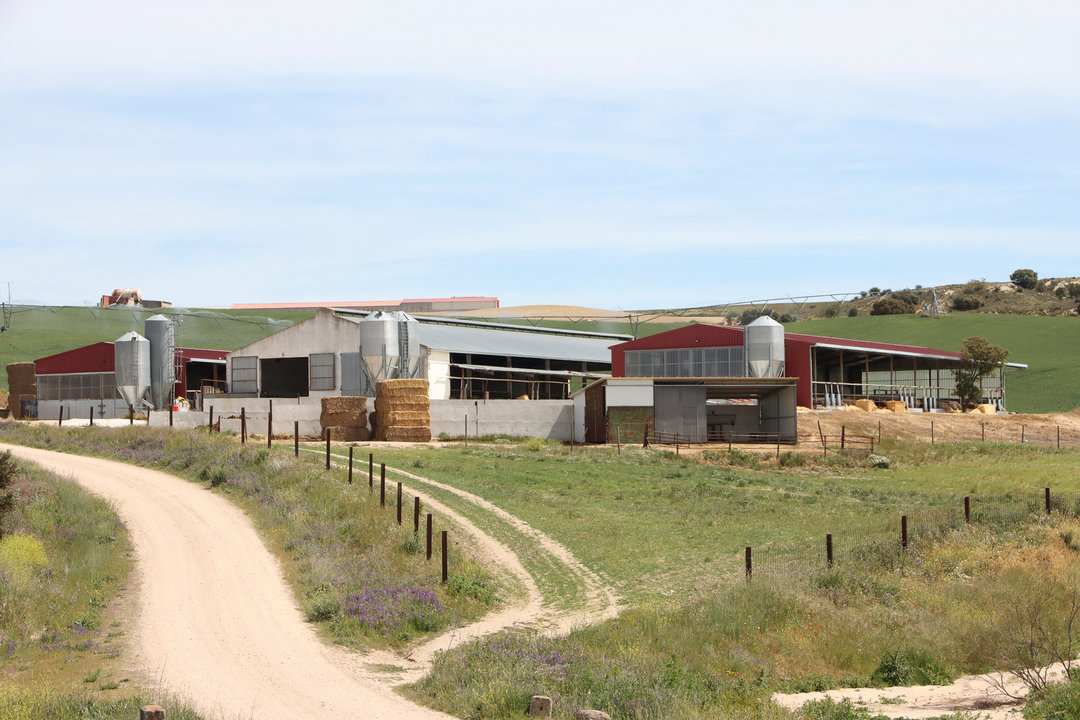 Granja de vacuno en Segovia (Foto Joaquín Terán_UPA)