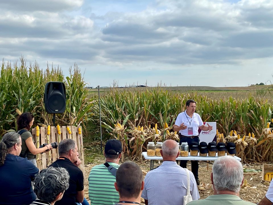 Presentación del nuevo maiz hídrido Preceon en campo (Foto Bayer España)