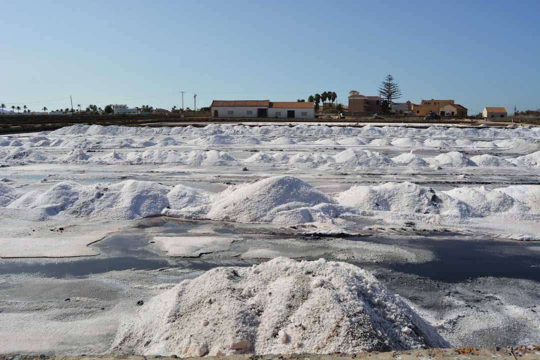 Primera cosecha de sal en las Salinas de Marchamalo (Foto Pedro García ANSE)