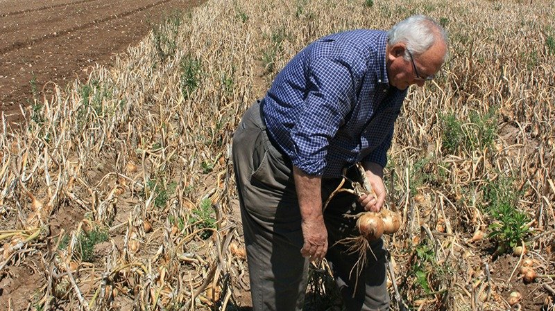 Agricultor en el campo. Relevo generacional (Foto AVA-Asaja)