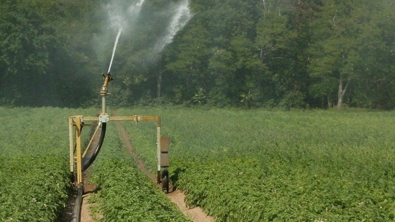 Tabla de consumo de agua por cultivos.