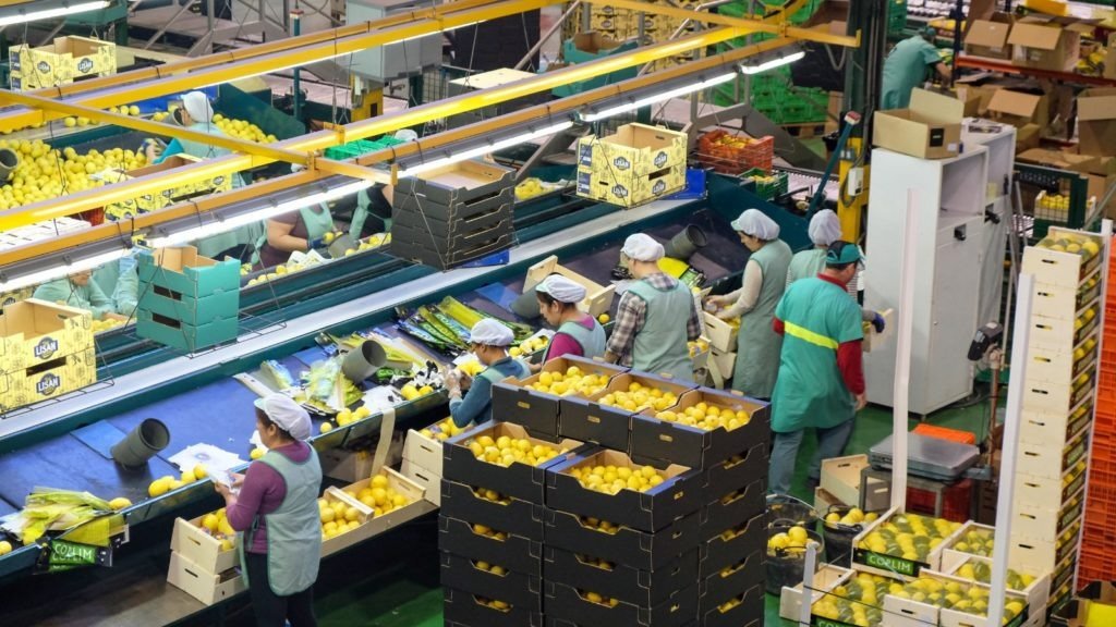 Industria agroalimentaria (Foto Fecoam)