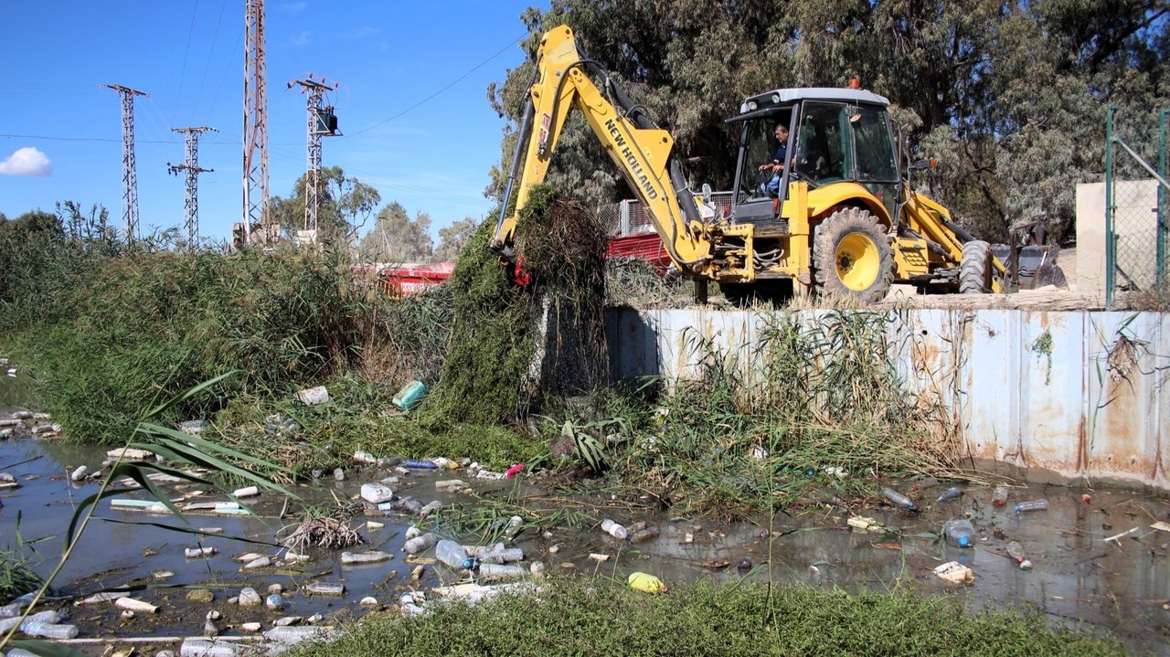 Limpieza residuos en las redes flotantes de Guardamar del Segura (Foto CHS)