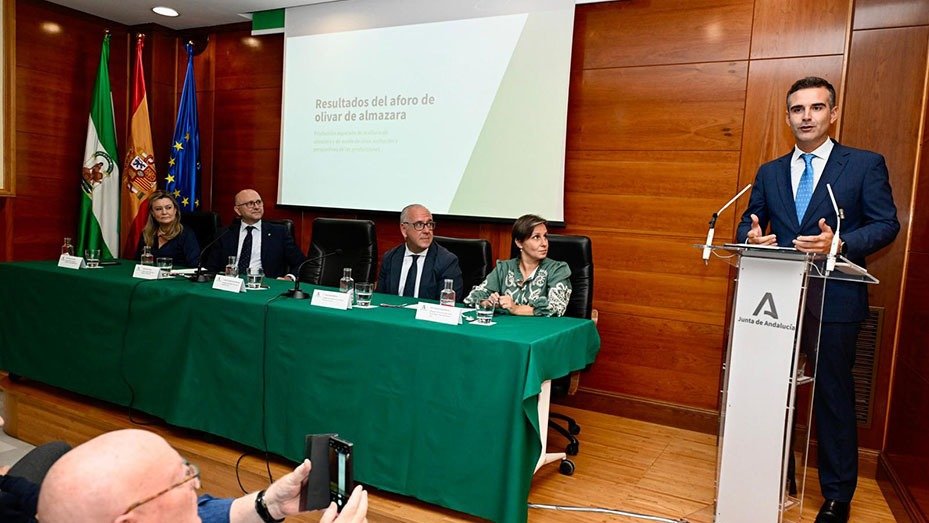 Fernández-Pacheco preside el aforo de producción del olivar (Foto Junta de Andalucía)