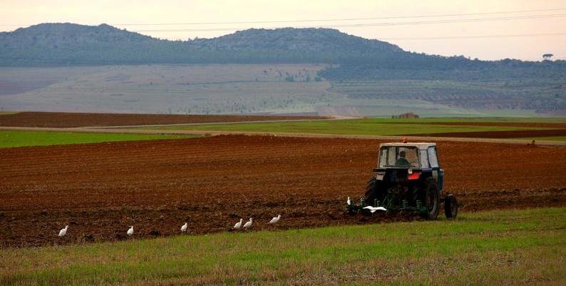 Tractor labrando un campo de cultivo (Foto MAPA)