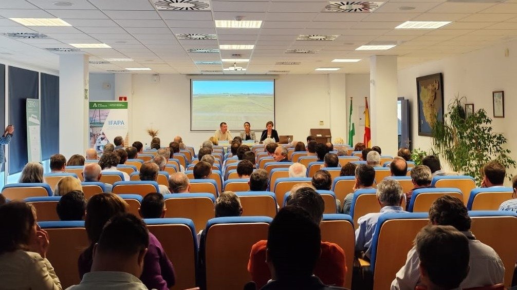 Presentación de los resultados de la experimentación en cultivos herbáceos extensivos de la RAEA (Foto Ifapa)