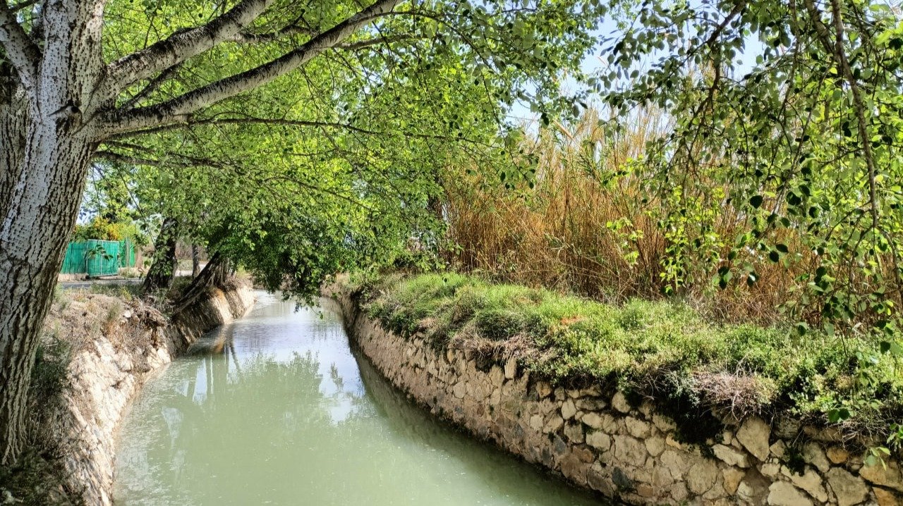 Acequia mayor de Aljufía (Foto Huermur)