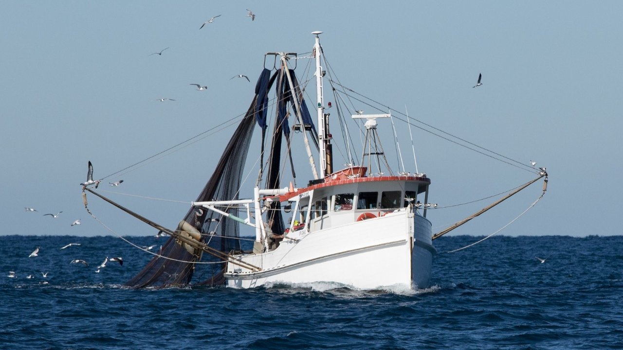 Pesca de cerco en el Golfo de Cádiz (Foto Junta de Andalucía)