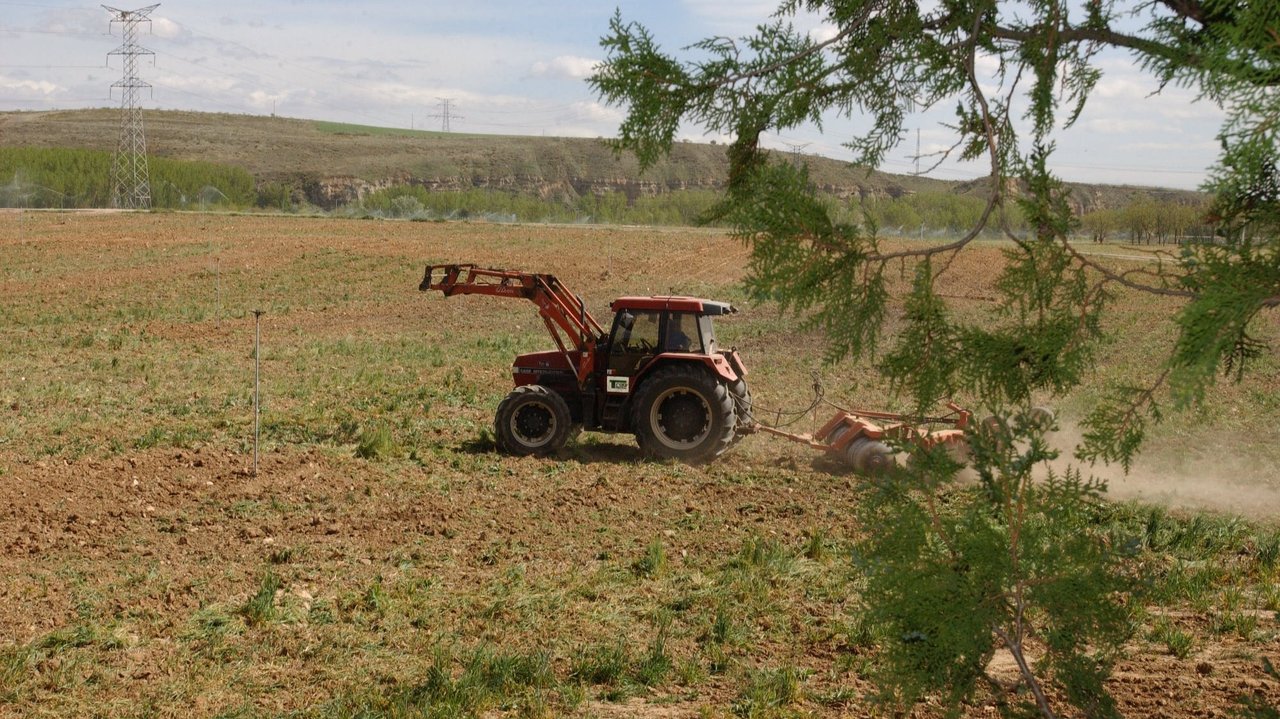 Tractor labrando un campo afectado por la sequía (Foto MAPA)