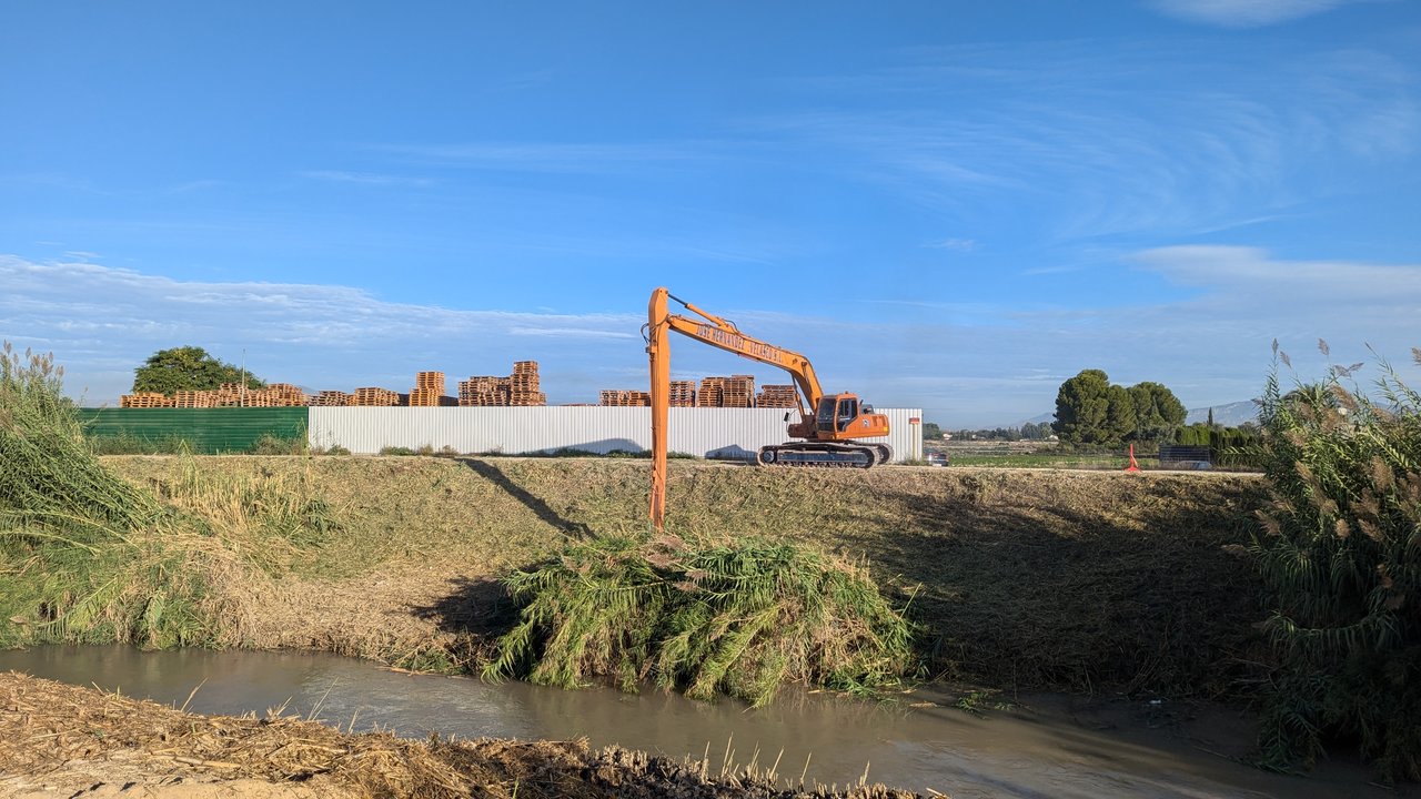 Obras de restauración ambiental en el río Segura (Foto CHS)