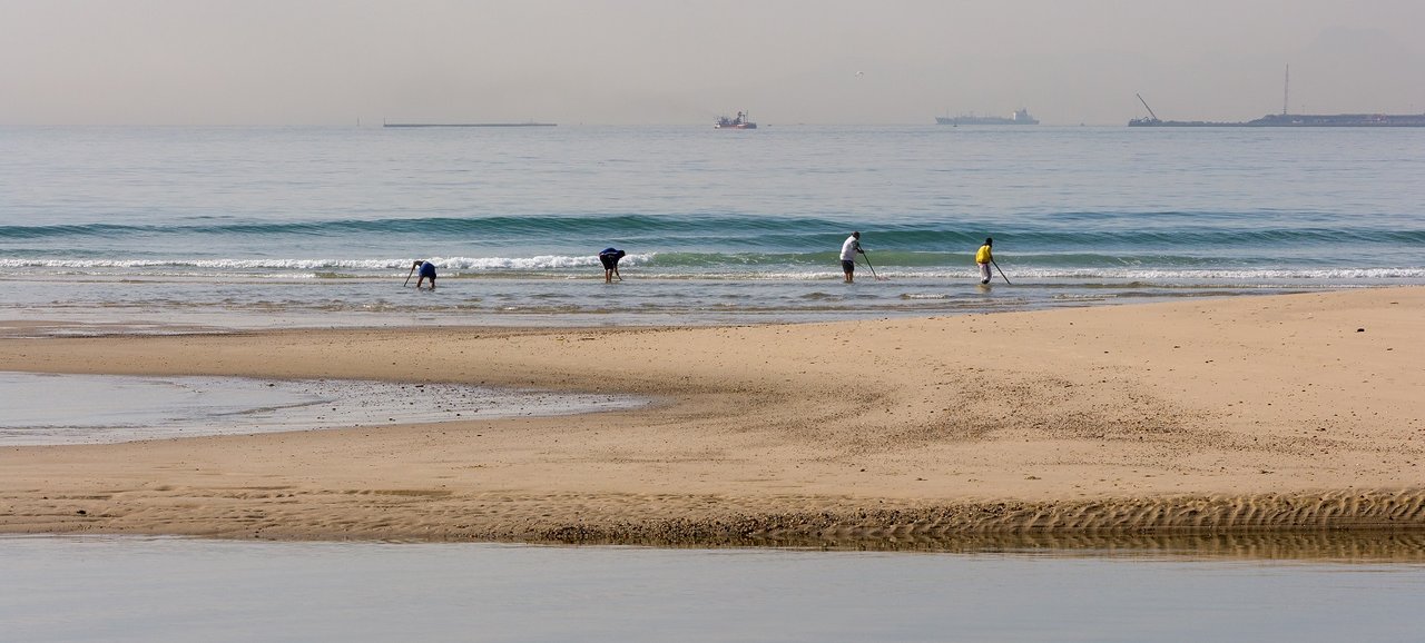 Mariscadores a pie de coquina en el Golfo de Cádiz (Foto Junta de Andalucía)