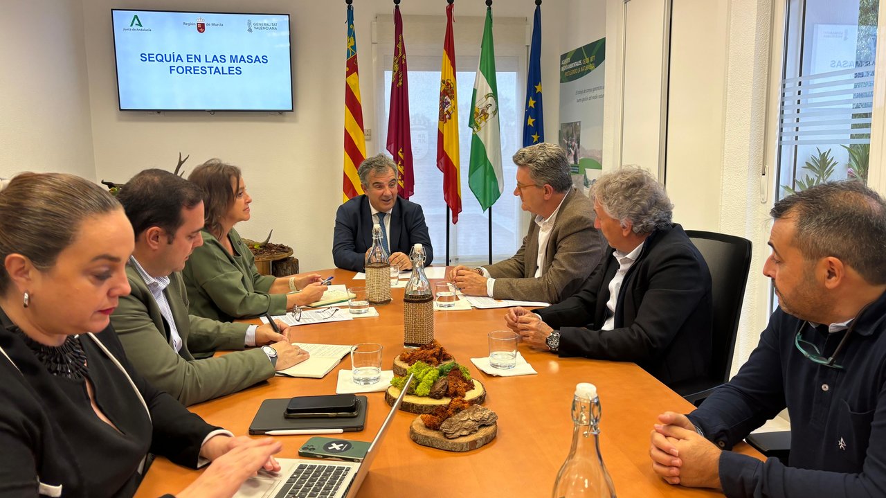 Reunión de Murcia, Andalucía y C.Valenciana sobre sequía en masas forestales (Foto CARM)