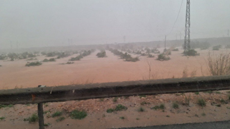 Cultivo anegado por la DANA (Foto AVA Asaja)