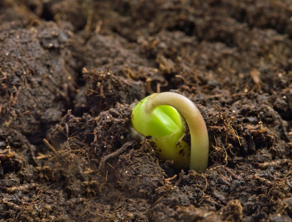 The Council of Ministers approves new rules to promote sustainable nutrition of agricultural soils